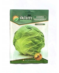 Lahana Yalova Sarmalık Lahana - Cabbage… Lahana Yalova Sarmalık Lahana - Cabbage…