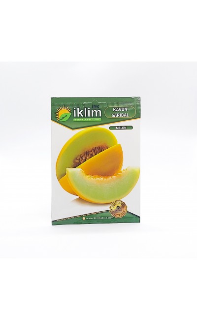 Kavun Sarı Bal Tohumu - Melon  