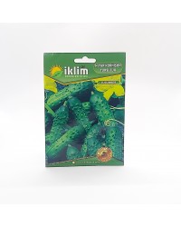 Salatalık Hıyar Kornişon -Turşuluk - Cucumber  … Salatalık Hıyar Kornişon -Turşuluk - Cucumber  …