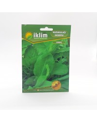 Kuzukulağı - Ekşiot - Ekşi Kulak Tohumu -Sorrel …