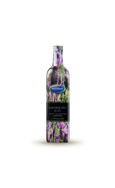 Mecitefendi Karabaş Suyu  