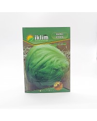 Marul Tohumu İceberg Atom Marul Lettuce … Marul Tohumu İceberg Atom Marul Lettuce …