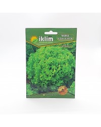 Marul Tohumu Kışlık - Lettuce … Marul Tohumu Kışlık - Lettuce …