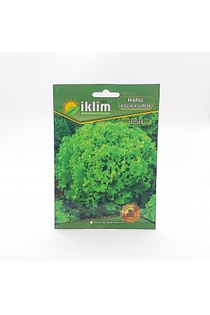 Marul Tohumu Kışlık - Lettuce &hellip;