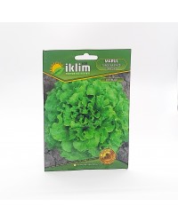 Marul Tohumu Yazlık Arapkızı - Lettuce  … Marul Tohumu Yazlık Arapkızı - Lettuce  …
