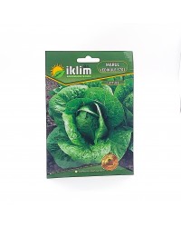 Marul Tohumu Yedikule Kaşık - Lettuce… Marul Tohumu Yedikule Kaşık - Lettuce…