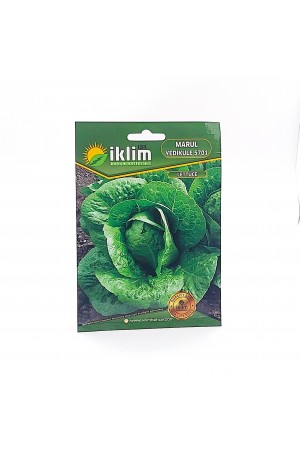 Marul Tohumu Yedikule Kaşık - Lettuce&hellip;