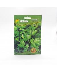 Maydanoz Tohumu Parsley … Maydanoz Tohumu Parsley …