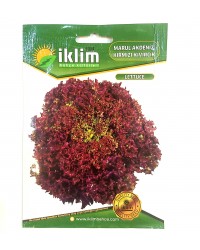 Marul Tohumu Akdeniz Kırmızı Kıvırcık - lettuce … Marul Tohumu Akdeniz Kırmızı Kıvırcık - lettuce …
